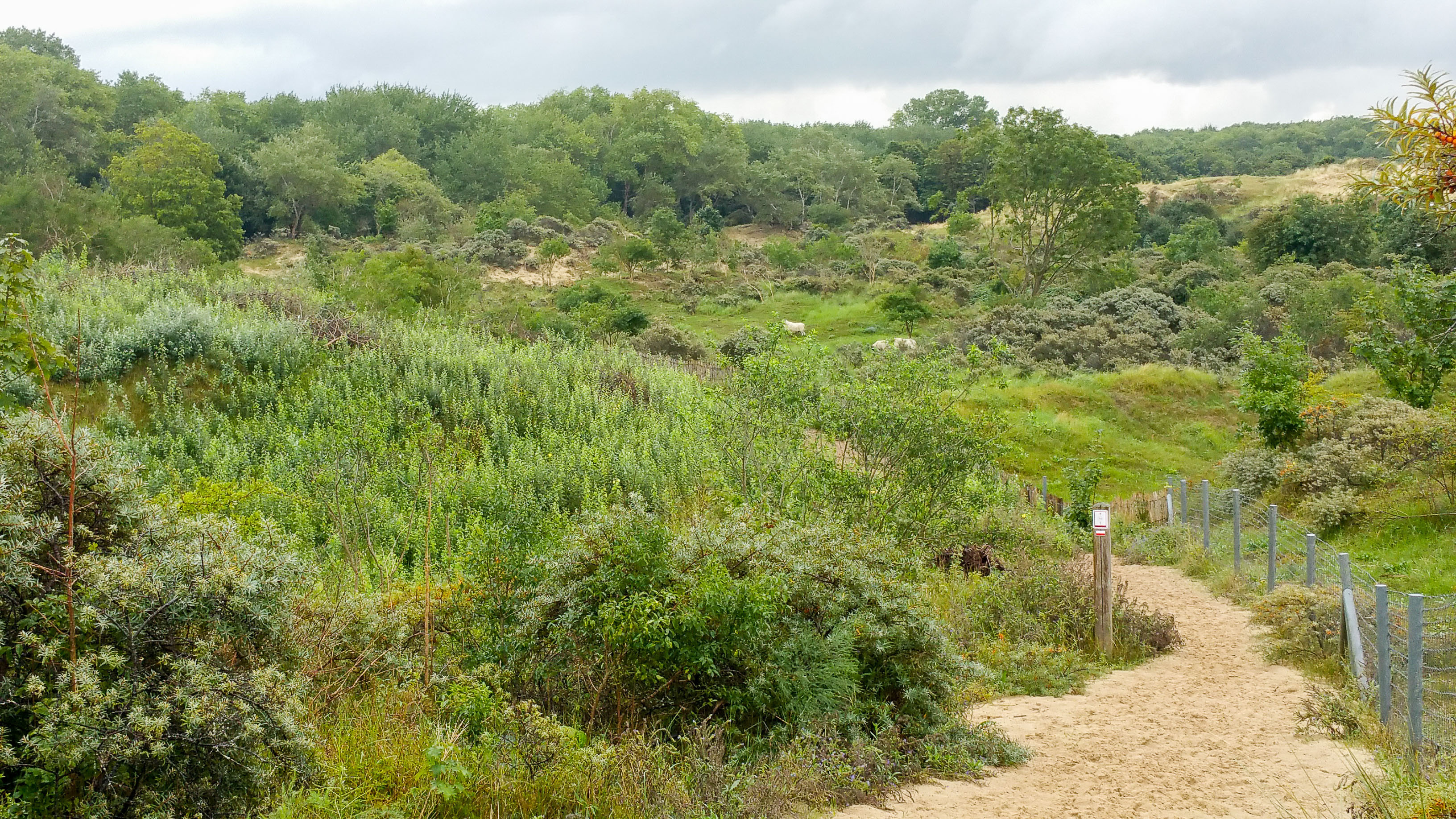 20150901_105521.jpg