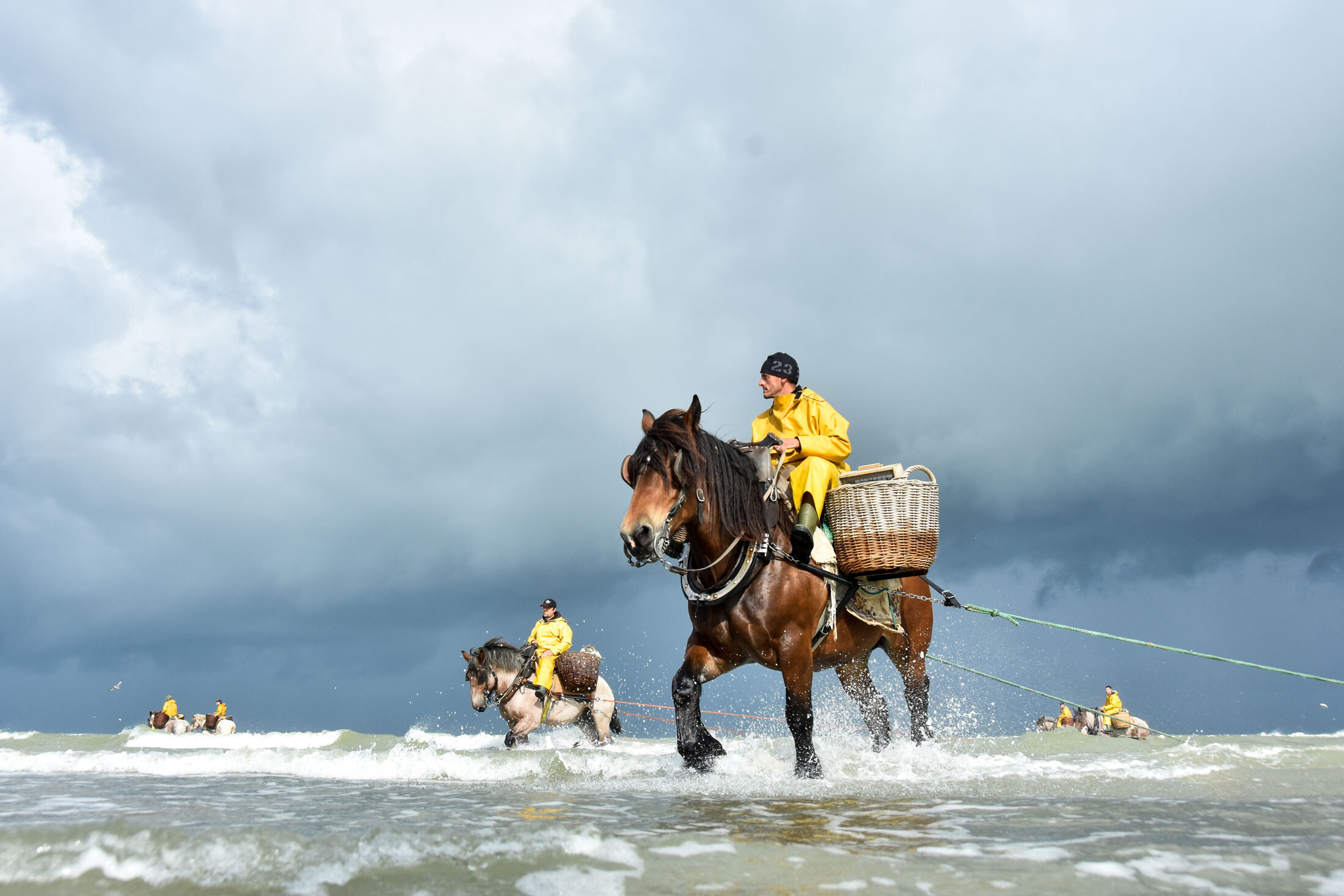 paardenvissers_sof-0232.jpg
